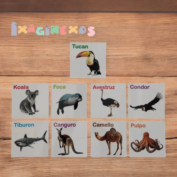 TARJETAS DE ANIMALES FRUTAS Y VERDURAS - Imagen 4