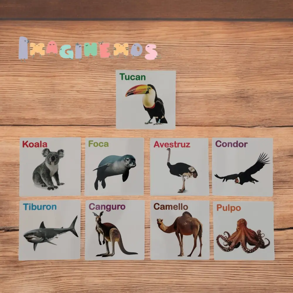 TARJETAS DE ANIMALES FRUTAS Y VERDURAS - Imagen 4